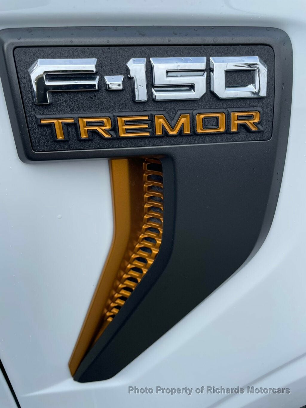 2025 Ford F-150 Tremor 4WD SuperCrew 5.5' Box (C15829) - Image 9